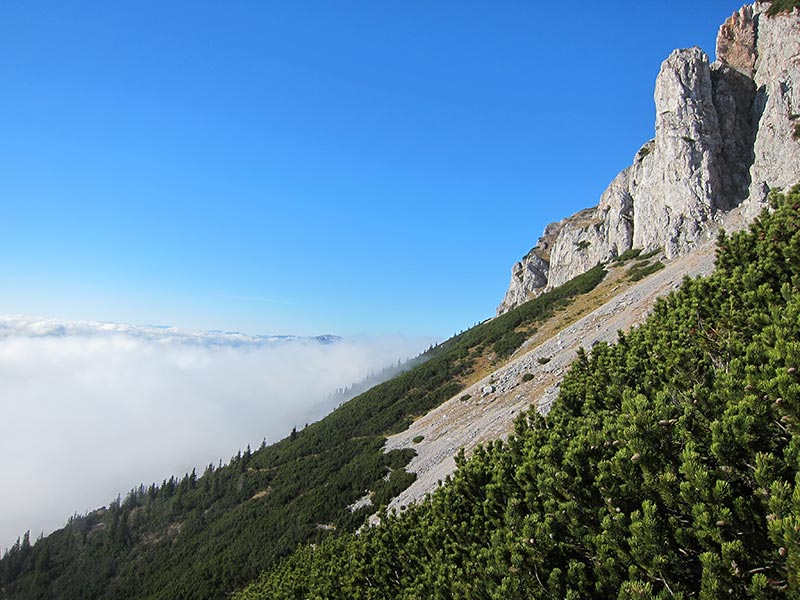 nebelmeer